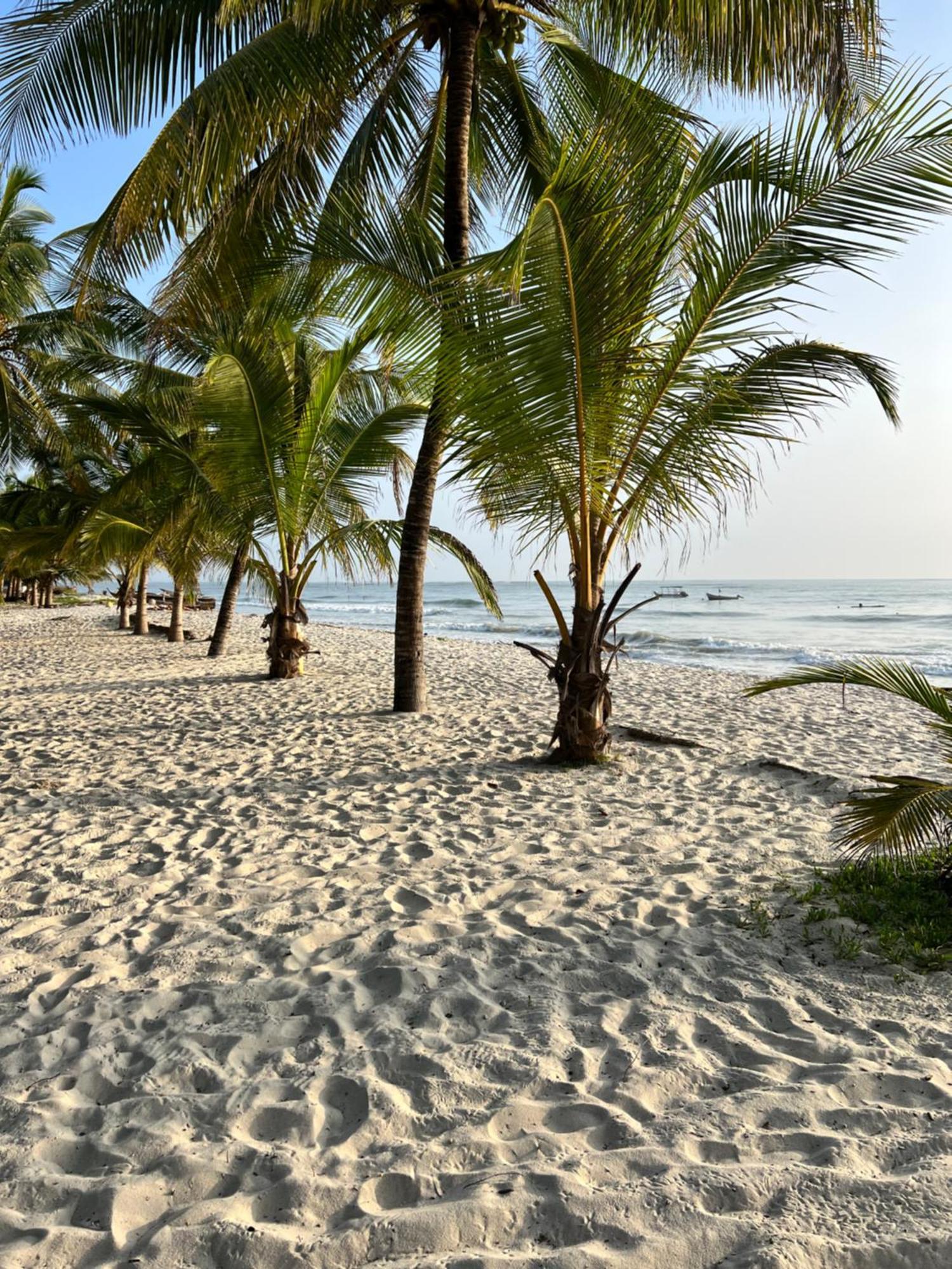 Waves And Wanderlust-Diani Beach Exterior photo